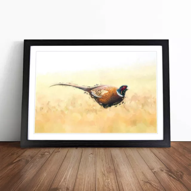 A Pheasant Bird In Abstract Animal Wall Art Print Framed Canvas Picture Poster