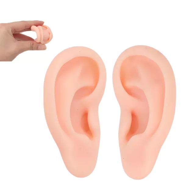Modello Orecchio Umano 1 Paia Morbido Simulazione Orecchio-Modello
