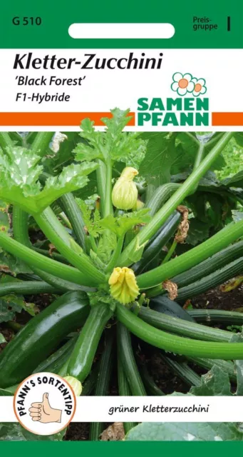 Zucchini, Black Forest F1 (Kletterzucchini)