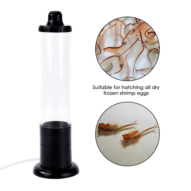 USA Brine Shrimp Hatcher Aquarium Fish Tank Incubator Artemia Eggs Hatchery Kit
