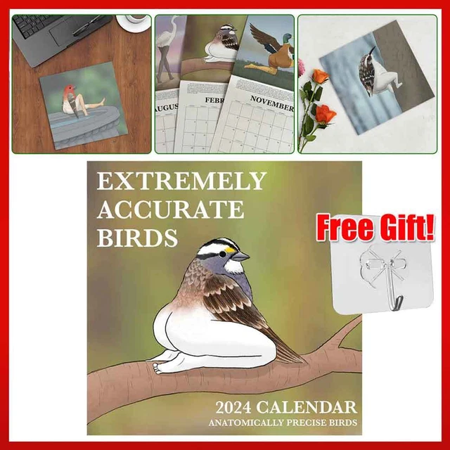 2024 CALENDAR OF EXTREMELY ACCURATE BIRDS 2024 Bird Calendar Wall