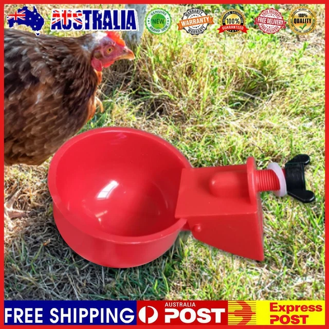6Pcs Poultry Drinking Bowl Feeder Automatic Chick Coop Accessories for Coop