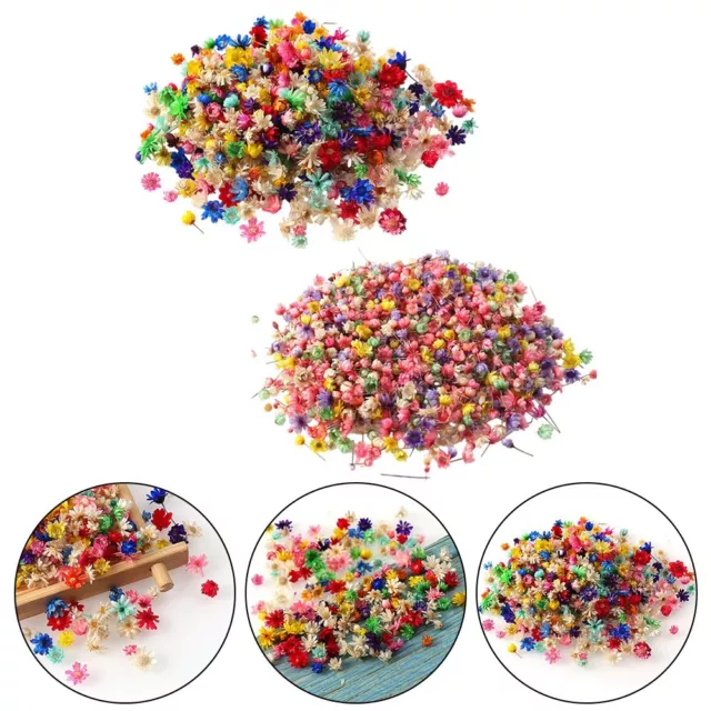 Pack of 100 Colorful Mini Dried Flowers for DIY Crafts and Candle Making