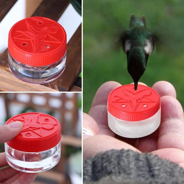 Mangeoire pour oiseaux Pentagramme Mangeoire colibri Mangeoire Oiseau Bouteille