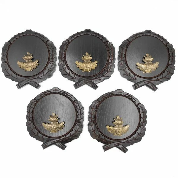 5 Pieza Keilerschilder Tallado Oscuro Af 17,5 CM Con 5 X Hoja de Roble Portada