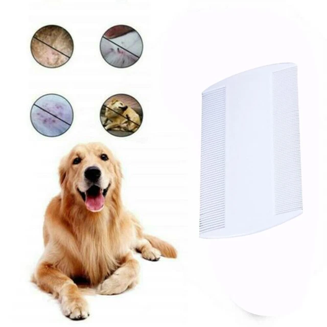 1x Double Sided Nit Comb Fine Tooth Head Lice Hair Flea For Kids