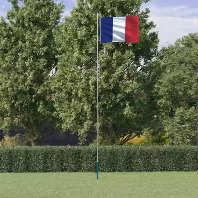 Asta e Bandiera Francia 6,23 m Alluminio vidaXL