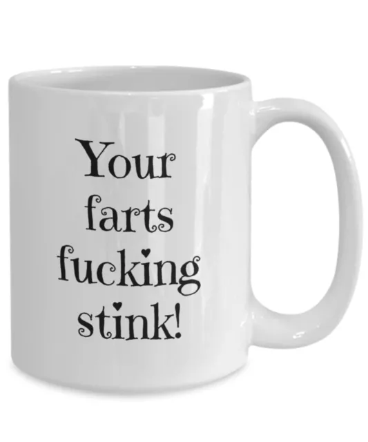 Your Farts F@cking Stink! Funny Valentines Coffee Mug For Him For Her. Cheeky