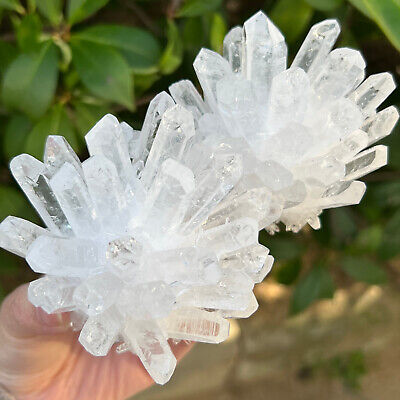 578g Newly discovered white Phantom Quartz Crystal Cluster mineral samples