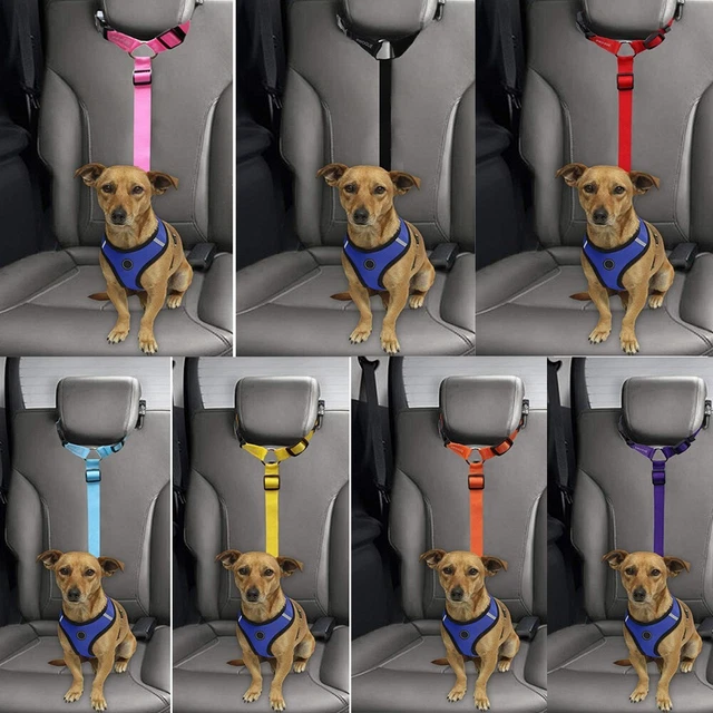 La cintura di sicurezza auto cuciture riflettenti cane migliora la visibilità