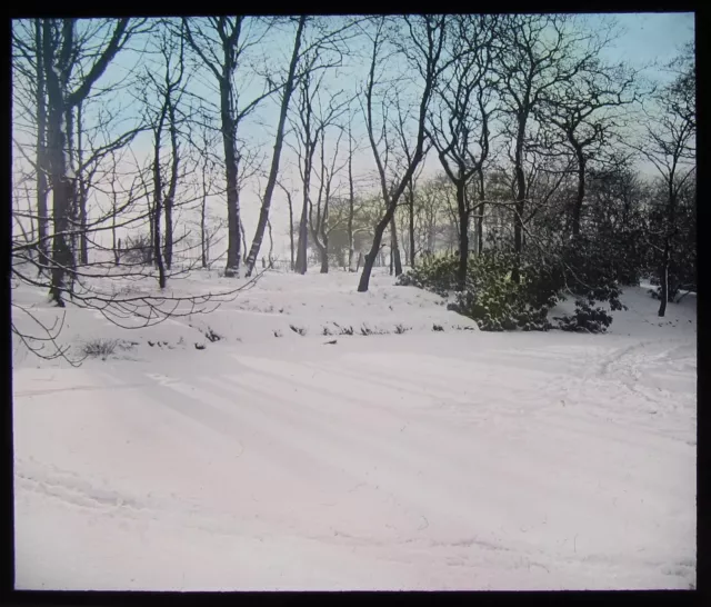 BEAUTIFUL Glass Magic Lantern Slide WINTER SNOW SCENE C1930 PHOTO TREES