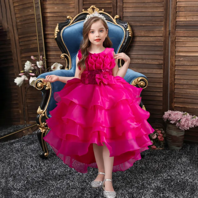 Kids Flower Girls Lace Trailing Wedding Bridesmaid Tulle Dress Formal Party Gown