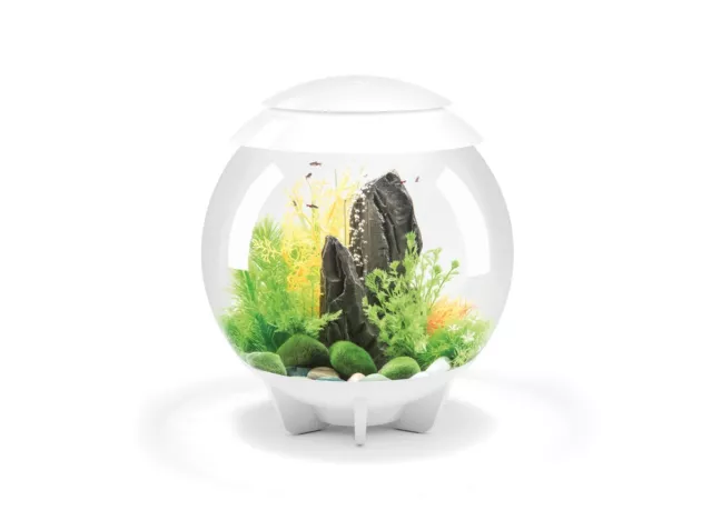 biOrb HALO 15 MCR - Fish Supplies - Aquarium kits - WHITE