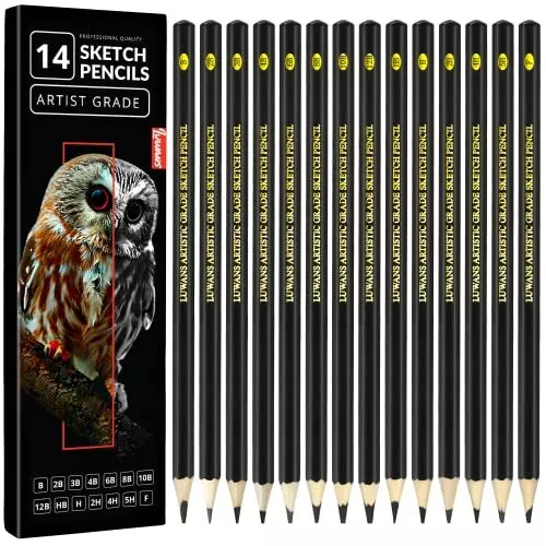 Drawing Pencils Set of 14 B - 12B Sketching Pencils for Drawing Shading & Doo...