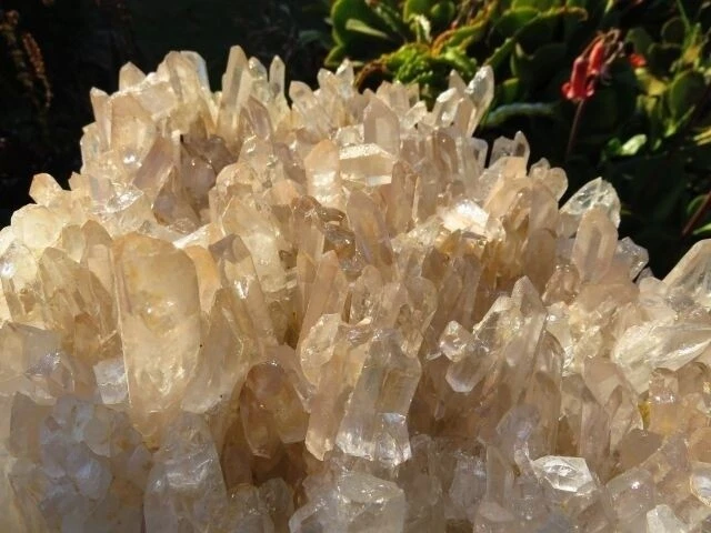 HUGE African Clear Quartz Crystal Cluster - Over 16lbs! From Madagascar