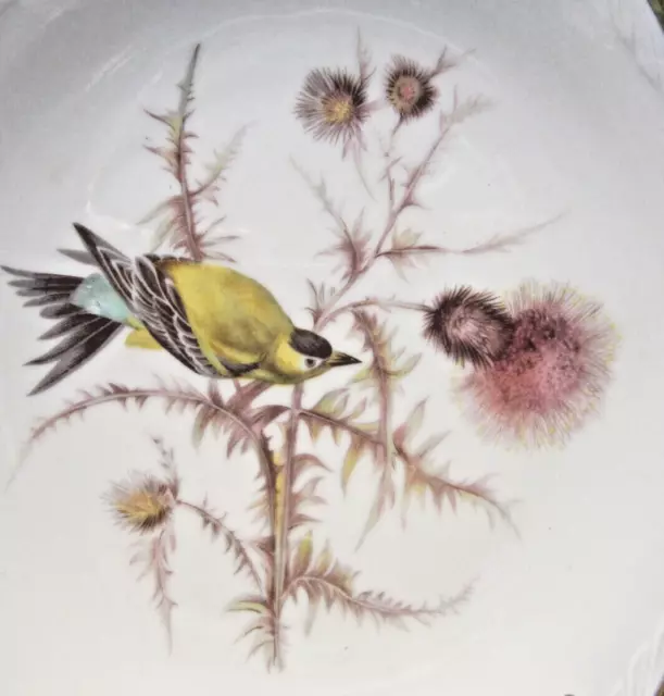 GOLDFINCH ON THISTLE PLATE Mitterteich Bavaria Germany Gold Trim w/Plateholder