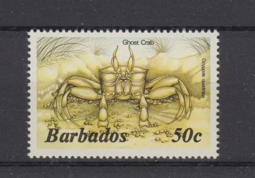 D. Fische  Meerestiere  Barbados  626  Krabbe  **  (mnh)