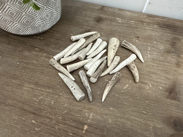 BOTONES ASTERA, PALANCAS DE 1 1/2"", TINES, paquete de 25