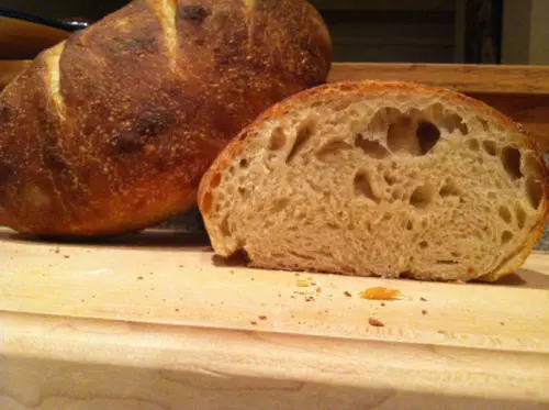Lievito pane antipasto lievito 150 + anni California oro Rush Land Larry