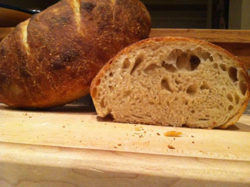 SOURDOUGH STARTER lievito pane 150+ anni californiana oro corsa country Larry