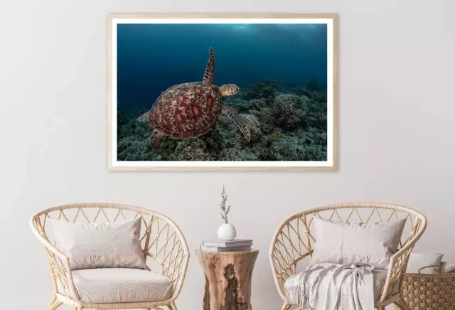 Ocean Turtle & Coral Reef View Print Premium Poster High Quality choose sizes