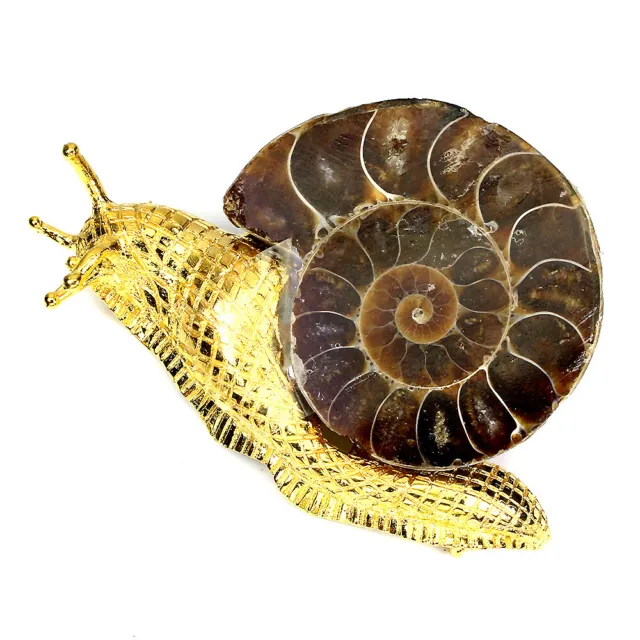 Umwerfend Nat?rlich Ammonit Fossil 46x38mm 925 Silber Snail Gro? Brosche Spezial 2