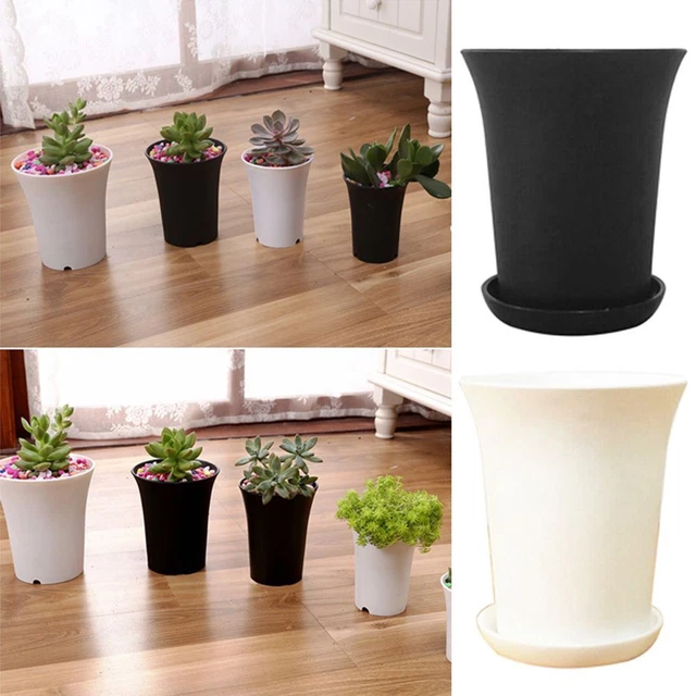 inférieur Accueil Pot de Plante Planteur Pots de fleurs Boîte succulente