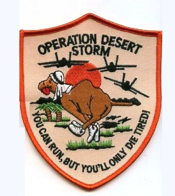 PERSIAN GULF WAR OPERATION IRAQI FREEDOM DESERT STORM: YOU CAN RUN but DIE TIRED