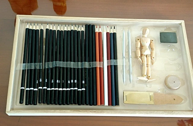 Ensemble 16 Crayons Charbon De Bois Professionnels - Fusain Dessin Ombrage Jwthee