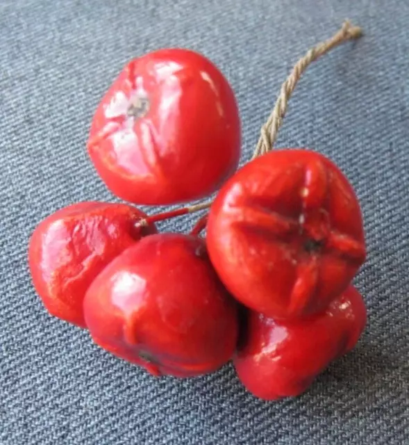 Vintage Carmen Miranda lacquered fruits bunch for millinery jewelry making #24