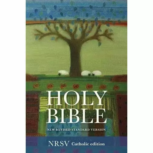 Katholische Bibel: Neue überarbeitete Standardversion: NRSV englisch - Hardcover NEU SPCK Pub