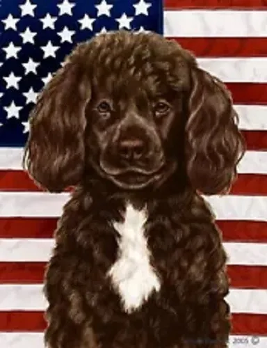 Patriotic (D2) House Flag - Chocolate Portuguese Water Dog 32914