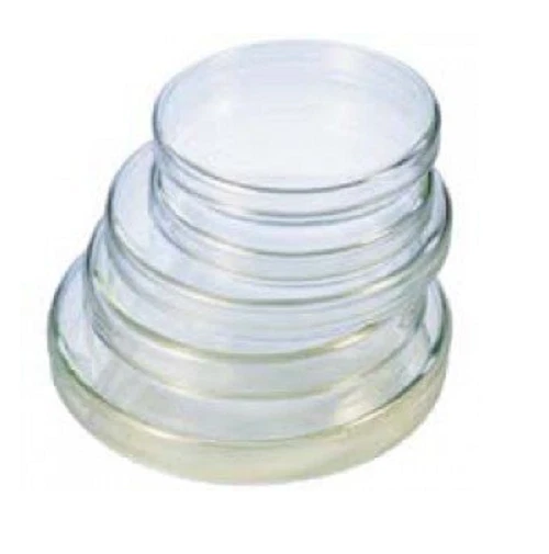 Borosilicate Glass Petri Dish with Beaded edges for strength 80 X 15MM Pack of 2
