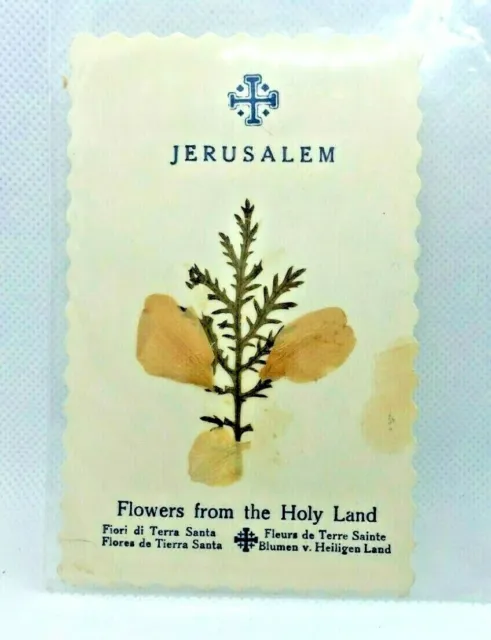 Vintage Flowers from The Holy Land Jerusalem