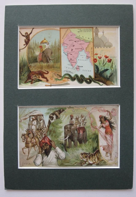 Soldat Dorset 1:32 – Chasse Au Tigre En Afrique, Figurine Plomb Peinte, Collection