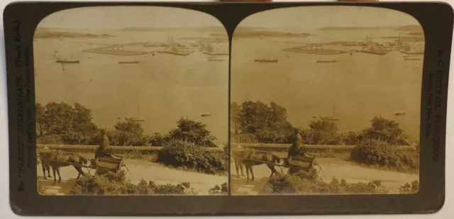 Irland Queenstown Hafen Foto Stereo P49p1n Vintage Citrat 1903