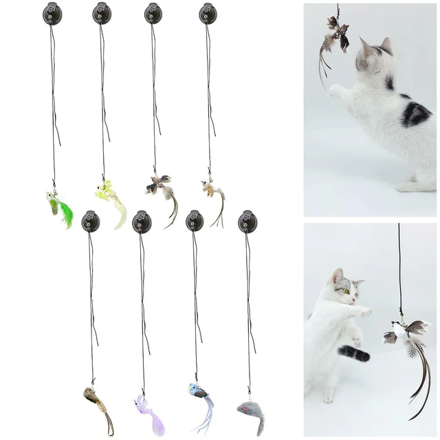 Chat plume  jouet chat Teaser avec ventouse puissance jouets