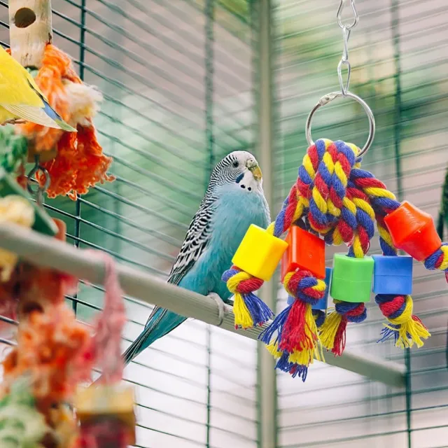 aus Holz Vogel bedarf Haustier produkte Papagei Spielzeug Vogel kauen Spielzeug