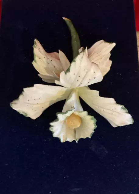 Vtg Capodimonte White Blooming Iris Flower Italy Hand Made Porcelain Figurine