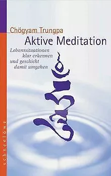 Aktive Meditation: Lebenssituationen klar erkennen ... | Buch | Zustand sehr gut
