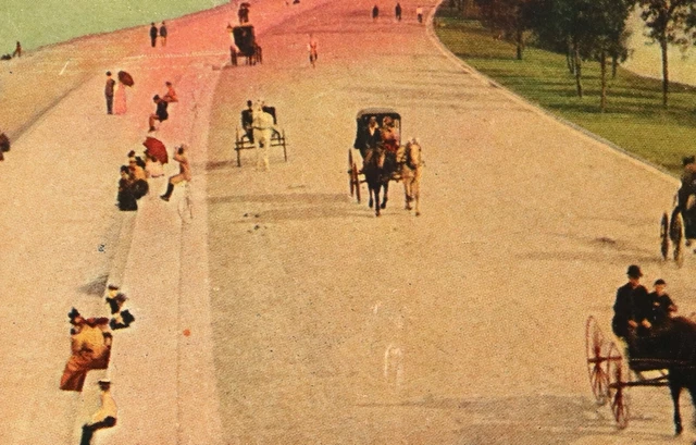 Antique RPPC Lake Shore Drive Lincoln Park Chicago #2