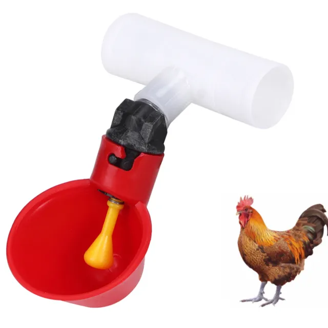 10Pcs Poultry Drinker Chicken Water Cups High Quality For Pigeons Chickens US
