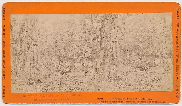 CIVIL WAR SV - Gettysburg, Pennsylvania - Bullet Marked Trees - Taylor