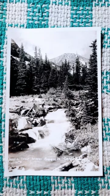 Black & White Post Card Trout Stream Sangre De Cristo Colo
