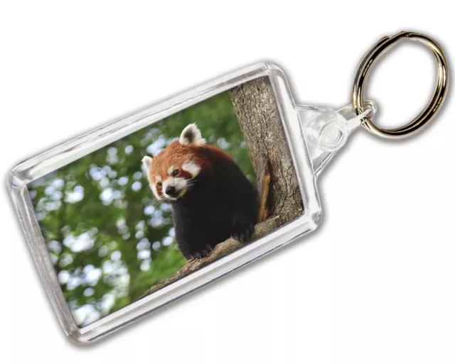 Red Panda Keyring Photo Keychain - Gift - Birthday - Stocking Filler