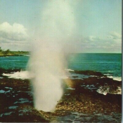 Vintage Spouting Horn Kauai Sea Water Geyser Hawaii HI Postcard