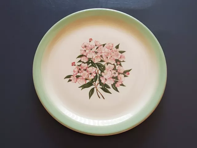 Pennsylvania Railroad PRR Mountain Laurel 9 1/2in dinner plate - Shenango 70'S