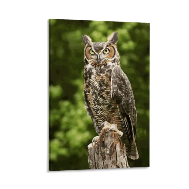 Wild Animals Owl Canvas Poster Office Decor Framed Landscaping Wall Art