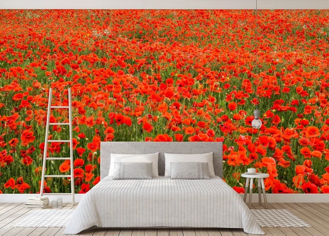 3D RED POPPY E444 Wallpaper Mural Paper Wall Print Indoor Murals CA ...