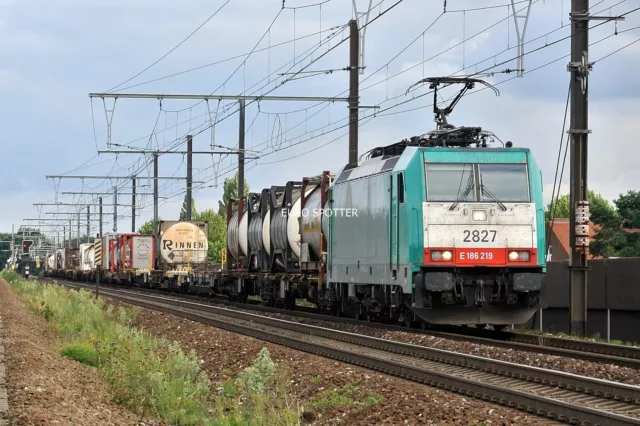 B71P 6x4 Glossy Photo SNCB Class 28 2827 @ Antwerp Docks (MB)